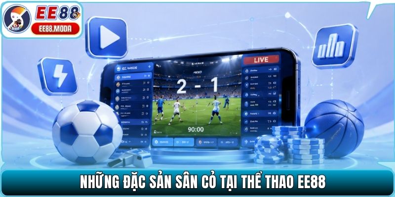 Những đặc sản sân cỏ tại thể thao EE88