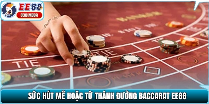 Sức hút mê hoặc từ thánh đường baccarat EE88