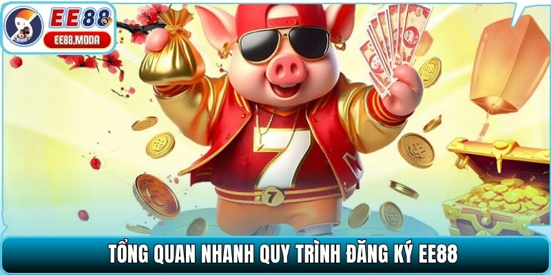 Tổng quan nhanh quy trình đăng ký EE88